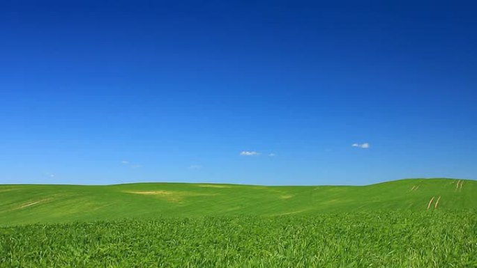 Idyll-绿色的田野和蓝色的天空