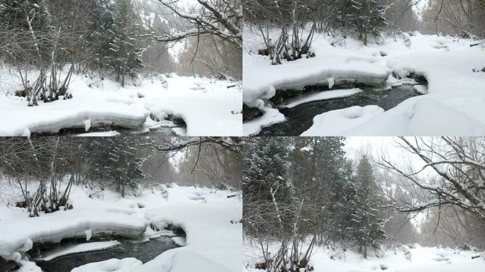高清视频大雪落在冰冷的熊溪水域科罗拉多州莫里森