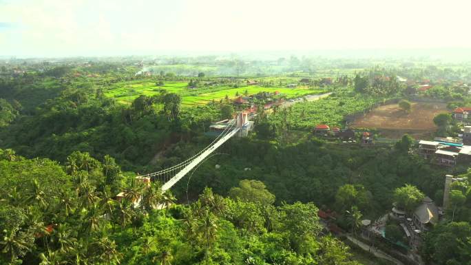 巴厘岛乌布索桥