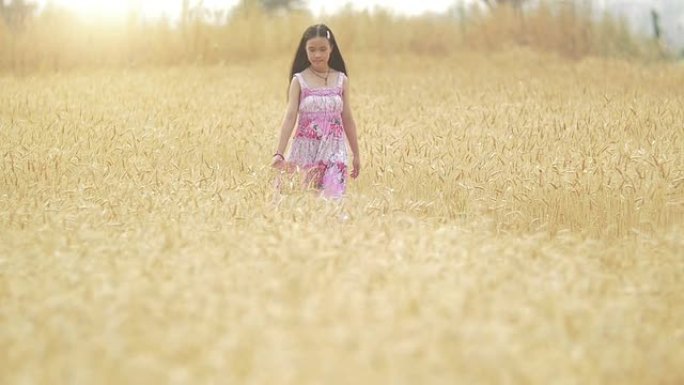 走在麦田里的女孩小女孩走在麦田手抚摸麦子
