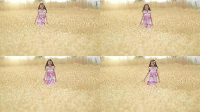 走在麦田里的女孩小女孩走在麦田手抚摸麦子