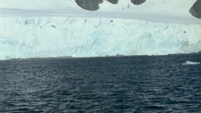 野生鲸鱼雪景冰川雪山北极南极下雪