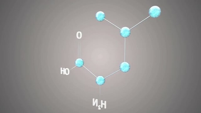 分子亮氨酸dna循环分子结构营养成分