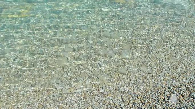 近岸透明海床水面鹅卵石涟漪