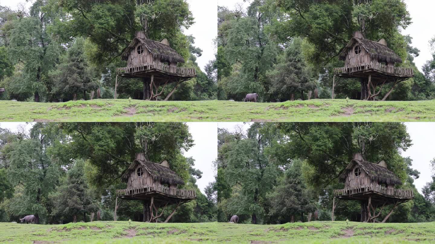 林间的童话木屋