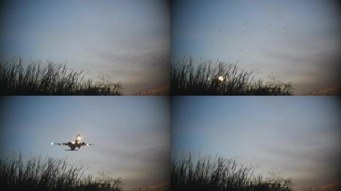 喷气式飞机在黄昏降落。