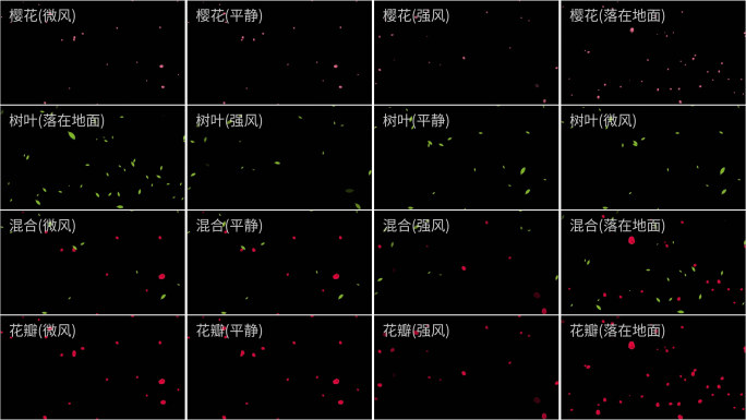 29个4K树叶花瓣预设AE模板