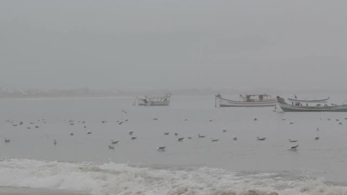 海鸥海浪渔船