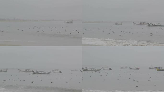 海鸥海浪渔船