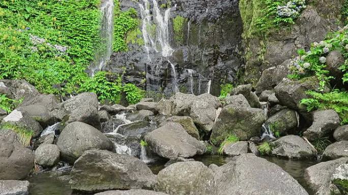 瀑布Poco do Bacalhau，Faja Grande，弗洛雷斯（亚速伦）