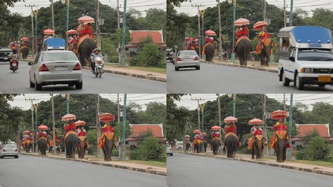 旅游团骑着大象穿越城市