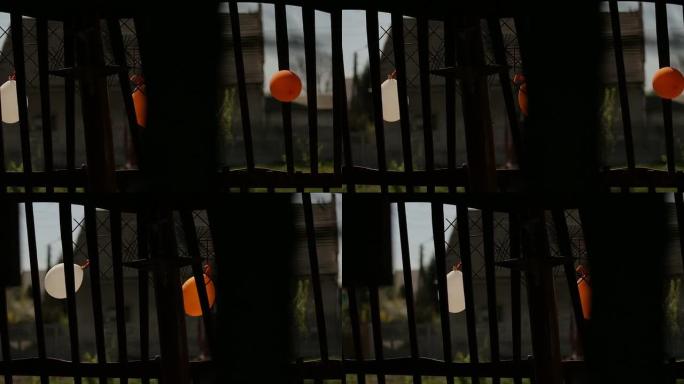 婚礼围栏上的气球-库存录像