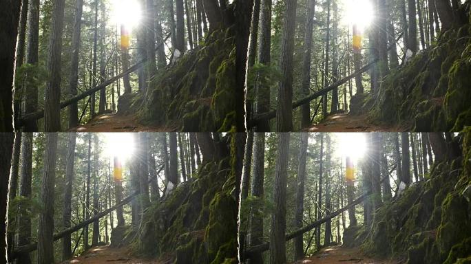 华盛顿州，雷尼尔山，公园