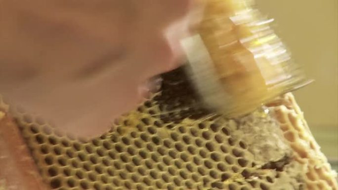 蜂蜜的有机提取