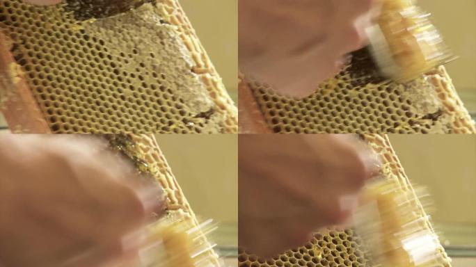 蜂蜜的有机提取