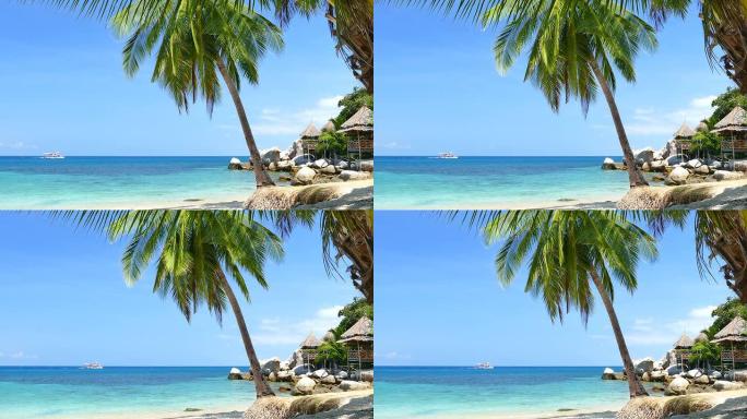 天堂海滩，蓝色绿松石海和椰子棕榈树