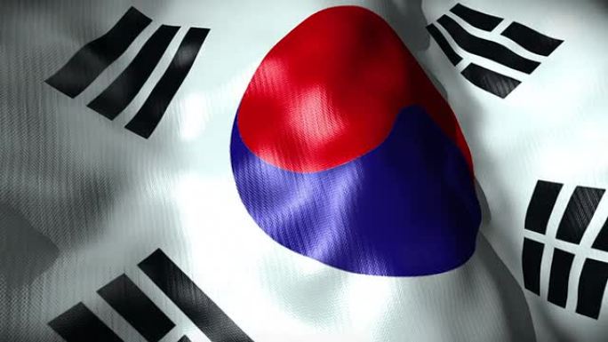 韩国国旗挥舞着，循环着