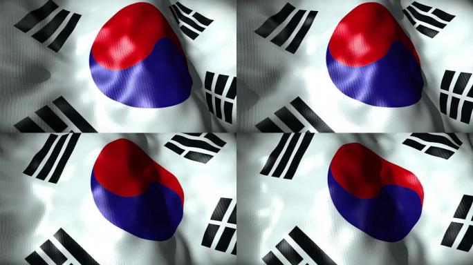 韩国国旗挥舞着，循环着
