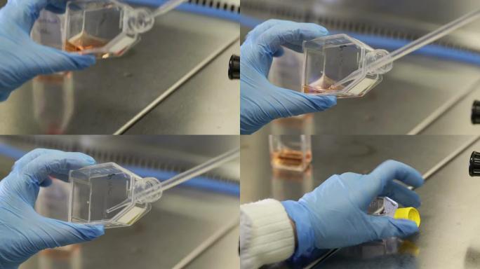 研究实验室生化培养吸管