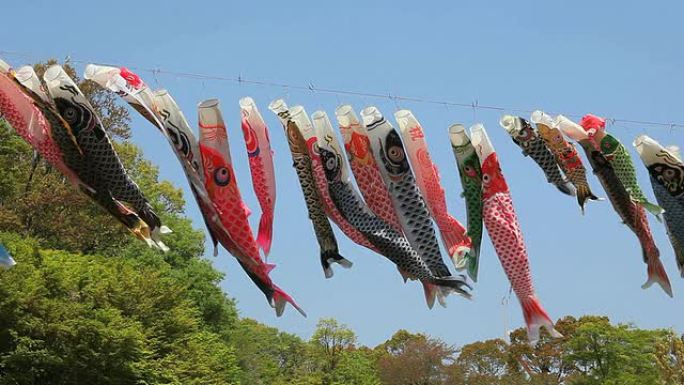 鲤鱼旗鲤鱼旗日本