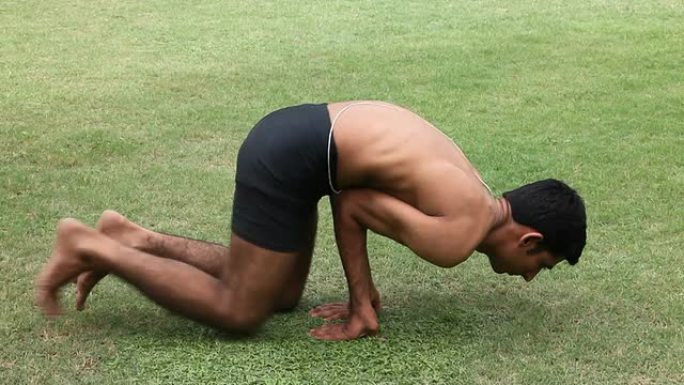 瑜伽男子男性印度人公园草坪