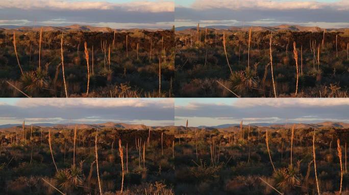 高清视频沙漠熔岩流火谷新墨西哥州