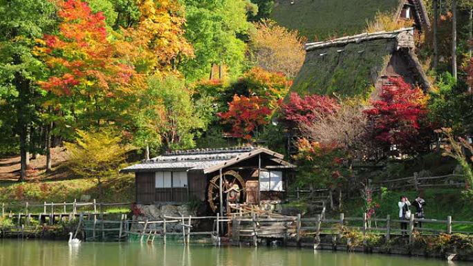 延时彩色-日本高山飞田民俗村的全秋树。