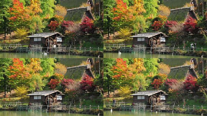 延时彩色-日本高山飞田民俗村的全秋树。