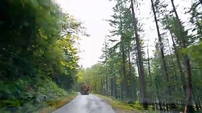 秋天的森林行驶车窗外汽车第一视角