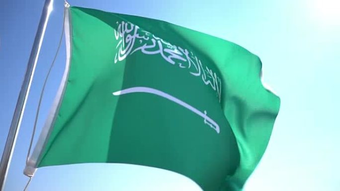 沙特阿拉伯国旗飘扬非洲国家金砖