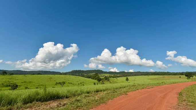 通往森林的路，天空很好，时间流逝
