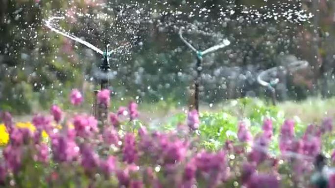 花圃洒水，慢动作拍摄