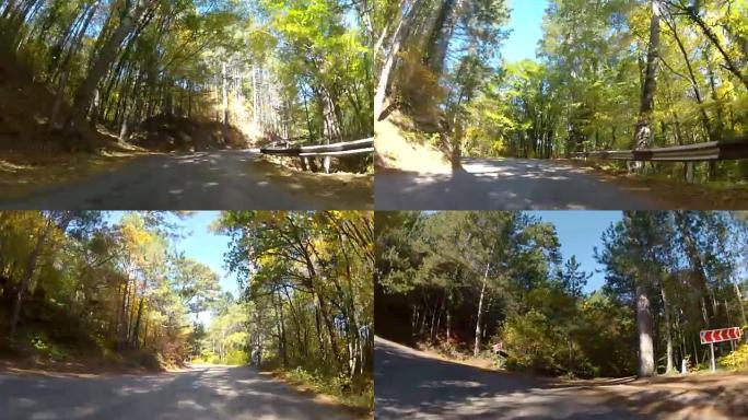 穿过森林的风景路线，GoPro