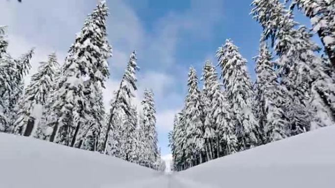 冬季驾驶雪林雪景冰天雪地