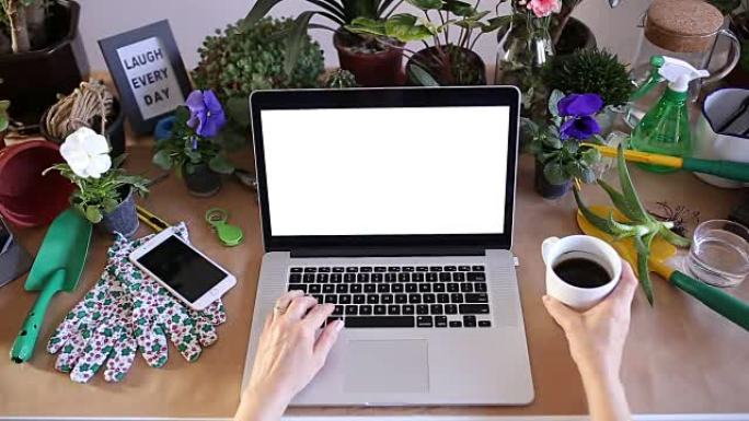 女人用笔记本电脑喝咖啡，顶视图