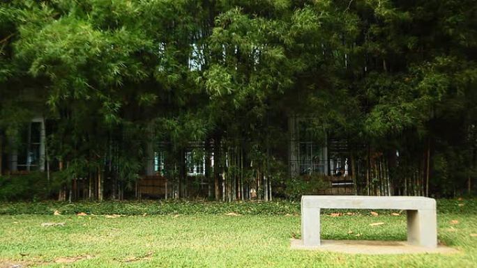 公园里的竹椅和长凳。
