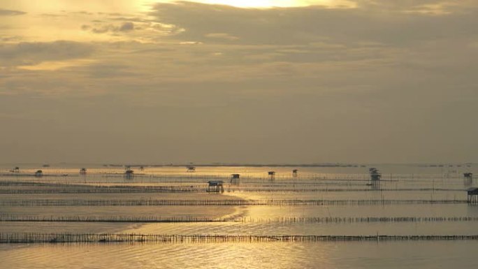 海上晨间时间海岸落潮夕阳海岸