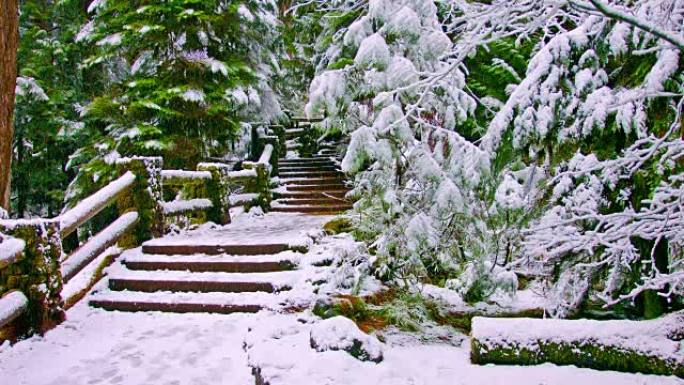 白雪皑皑的森林白雪皑皑的森林