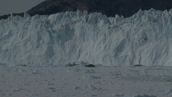 大块的冰块漂浮在海湾里