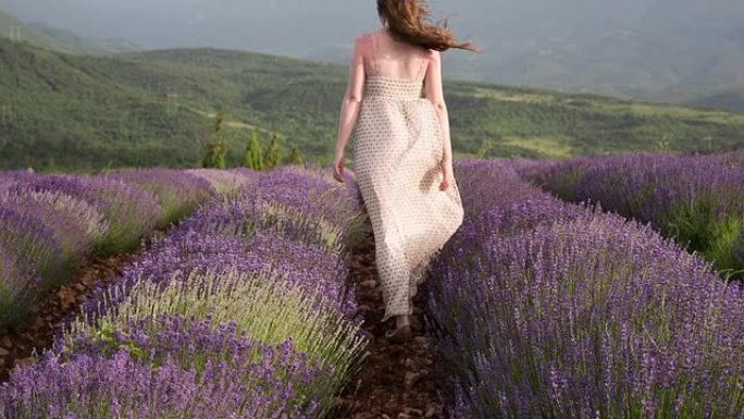 女人在紫色薰衣草的香气中漫步