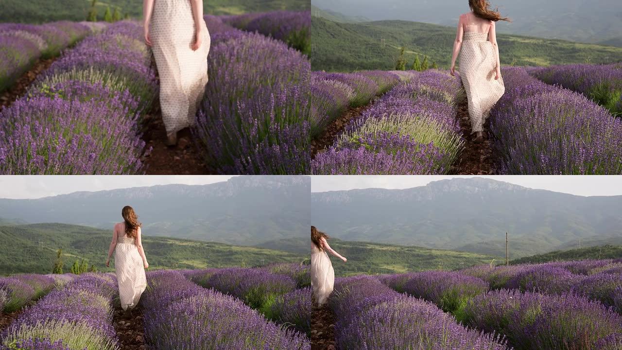 女人在紫色薰衣草的香气中漫步