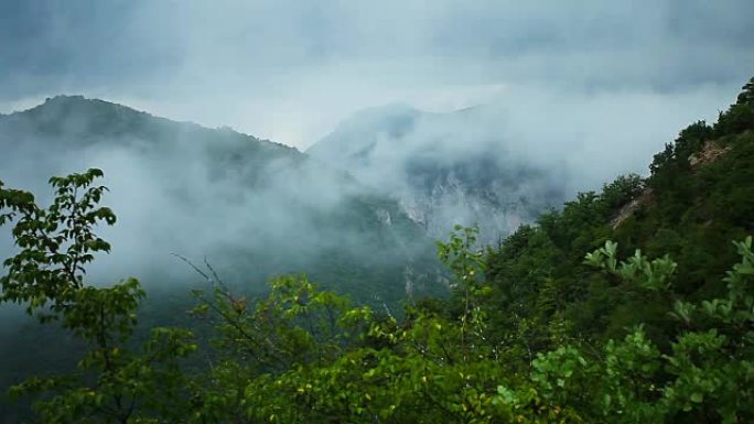 雨后热带雨林