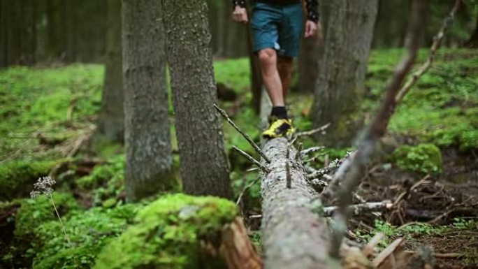 森林中的越野跑平衡
