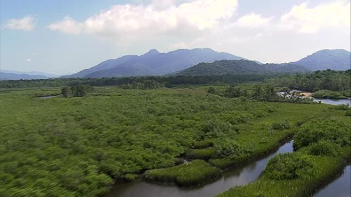 河流和大西洋雨林的低空-鸟瞰图-圣保罗，canan é ia，巴西