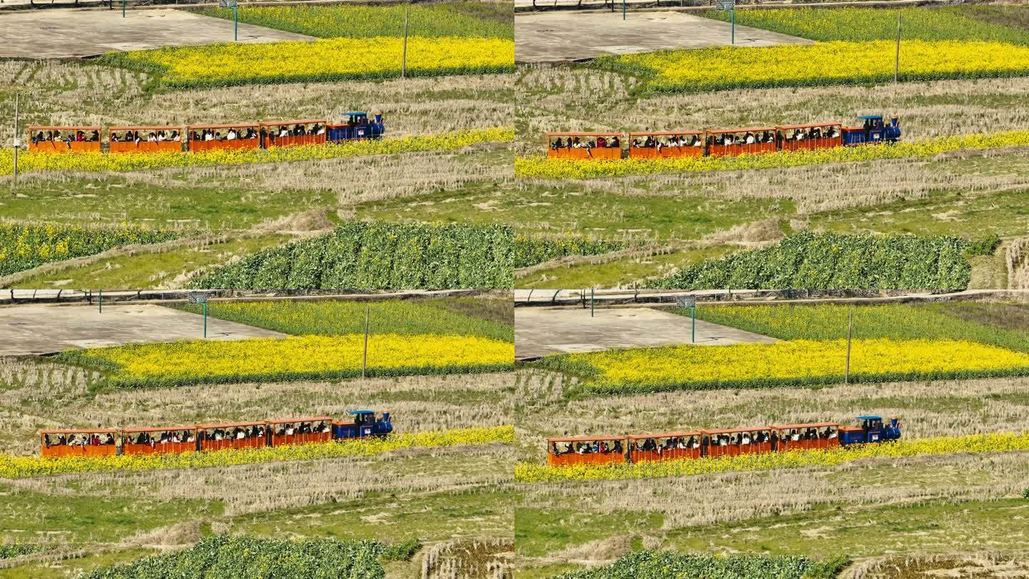 婺源严田景区油菜花海小火车