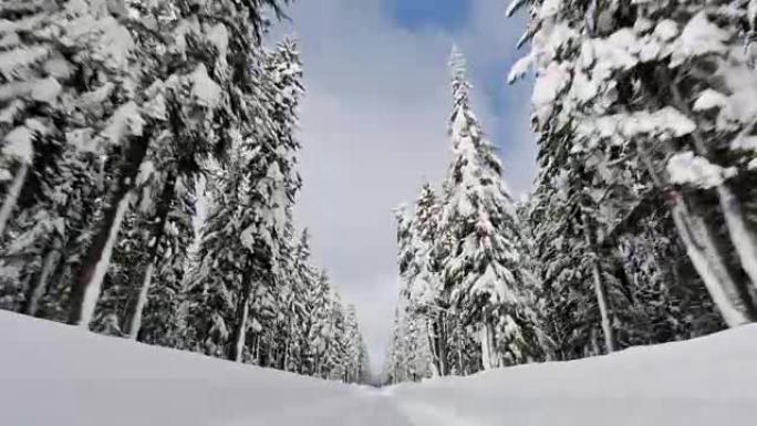 冬季驾驶雪地摩托第一视角道路两旁