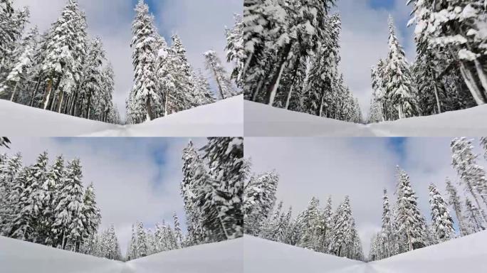 冬季驾驶雪地摩托第一视角道路两旁