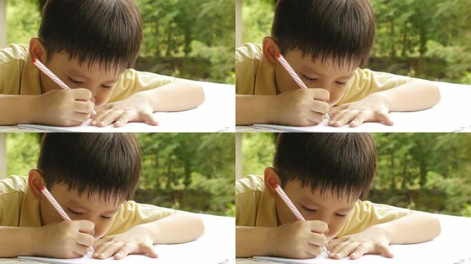 做家庭工作的小男孩