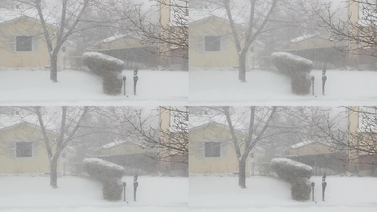 高清视频暴风雪席卷丹佛科罗拉多社区