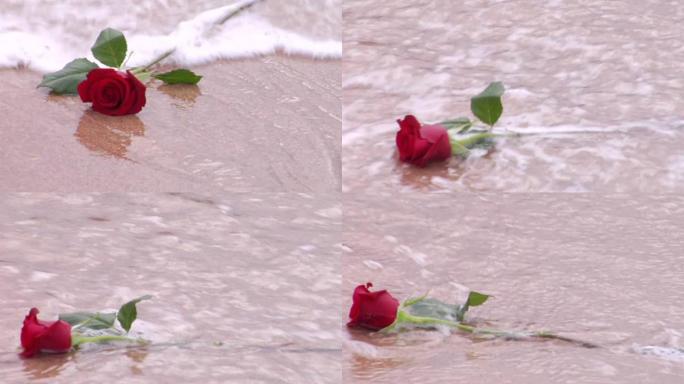 玫瑰被海浪冲走了